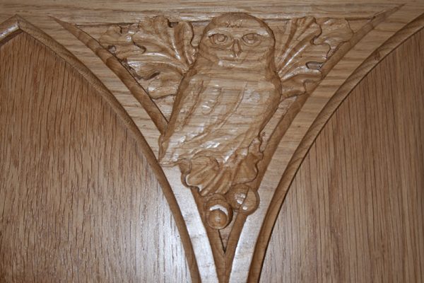 owl